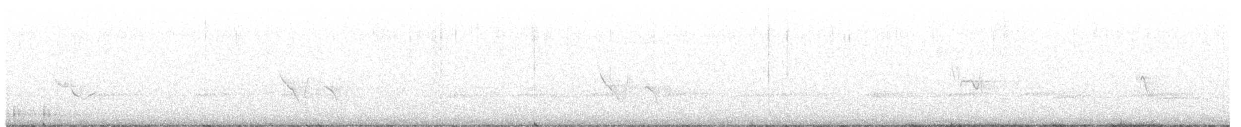 Blue-headed Vireo - ML561170001