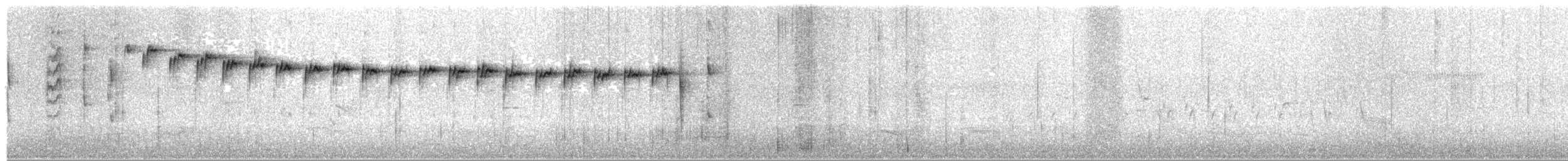 Новозеландская веерохвостка - ML561214481