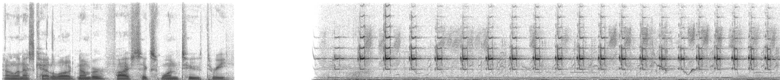 Nubierspecht - ML56123