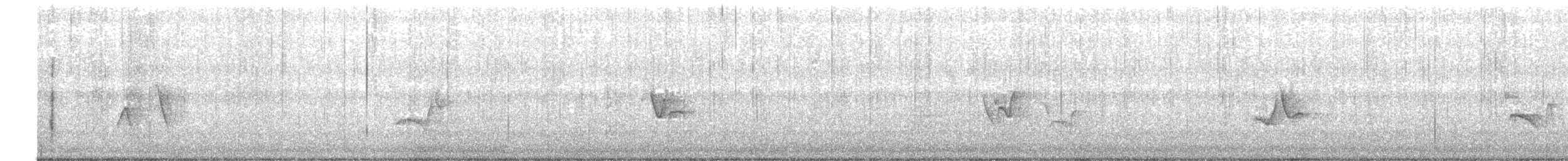 Blue-headed Vireo - ML561234631