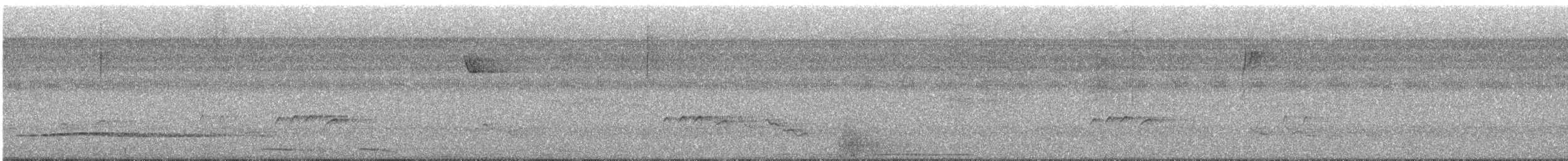 Little Tinamou - ML561234851