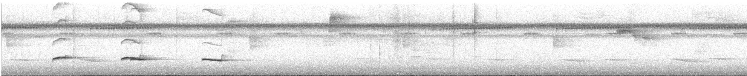 Kestane Sırtlı Karıncakuşu - ML561261371