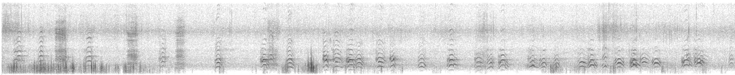 ホオジロオナガガモ - ML561287841