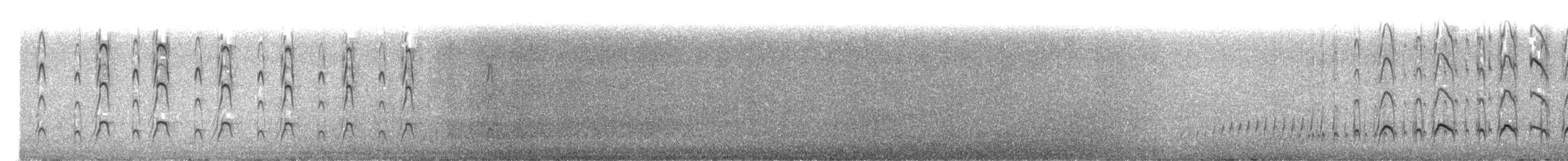 Yeni Zelanda Kara Poyrazkuşu - ML561290531