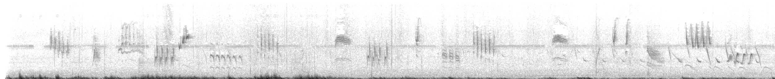 svarthettevireo - ML561299591