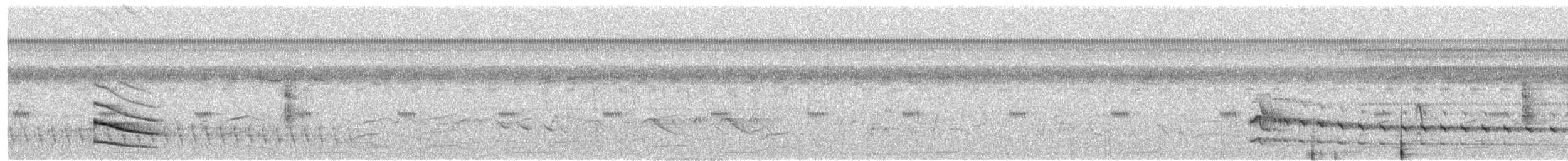 Polluela Sora - ML561300411