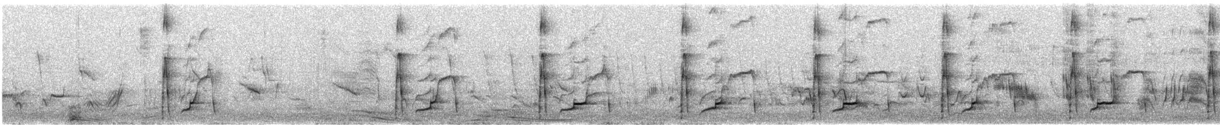 ミゾハシカッコウ - ML561301841