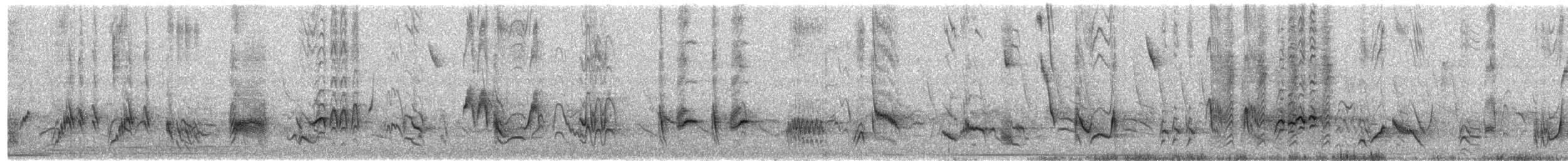 Langschnabel-Spottdrossel - ML561302351