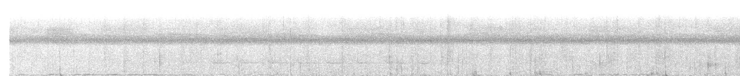 holub goliáš - ML561340151