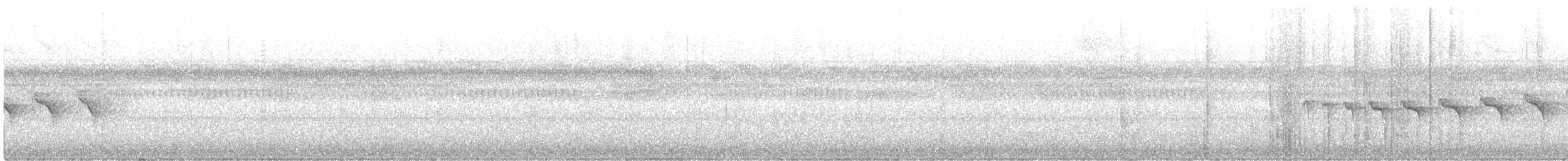 Gelbbrust-Ameisenschnäpper - ML561378021