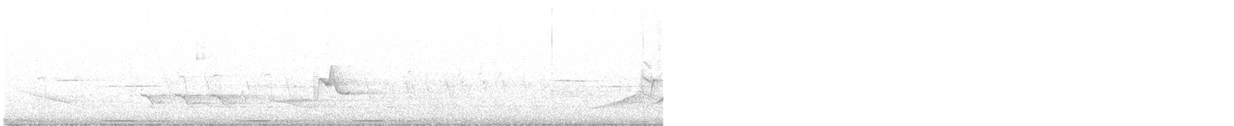 Blue-headed Vireo - ML561402441