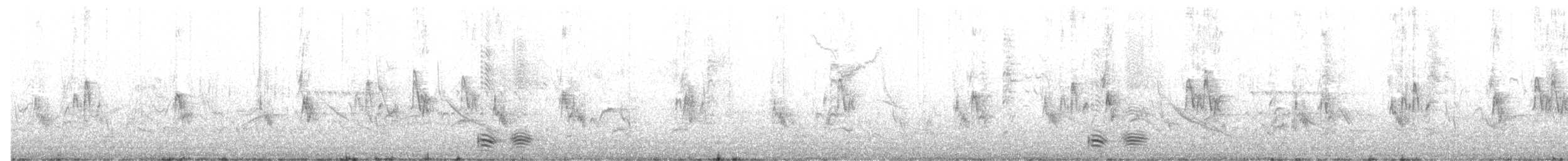 Cuervo Pescador - ML56140251