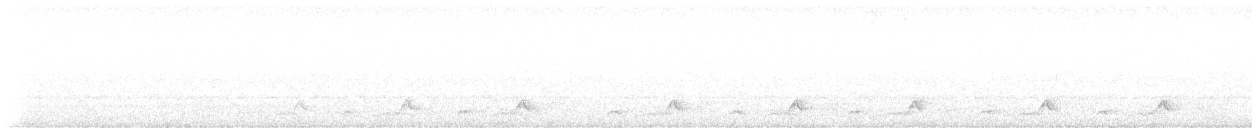 Schwarzkehl-Nachtschwalbe - ML561413091