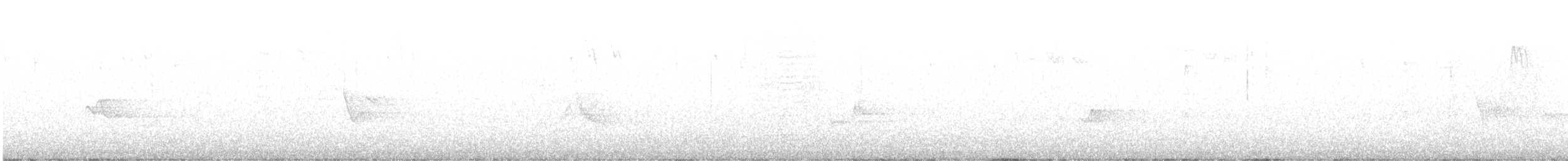 Сероголовый виреон - ML561472701