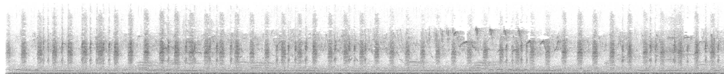 isabellavarsler (isabellinus) - ML561524311