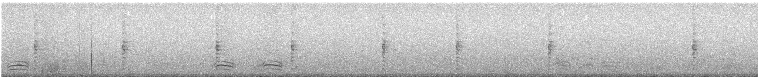 灰胸秧雞 - ML561525081