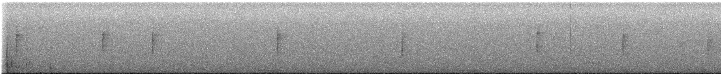 Black-throated Gray Warbler - ML561529921