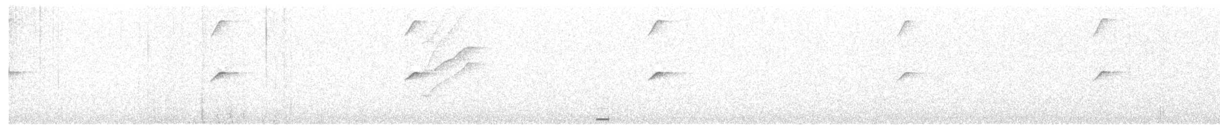 Colibri corinne - ML561618531