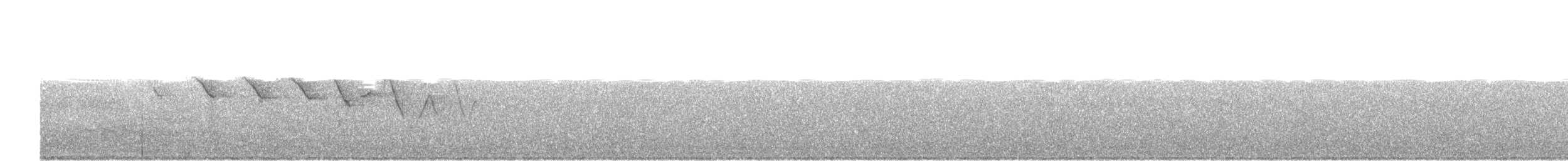 Трясогузковый певун - ML56162101