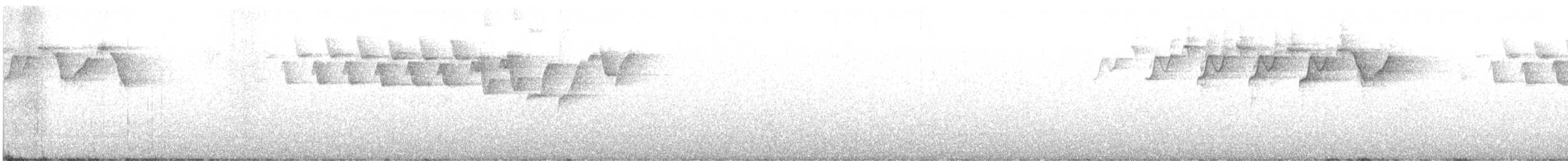 Paruline noir et blanc - ML561630051