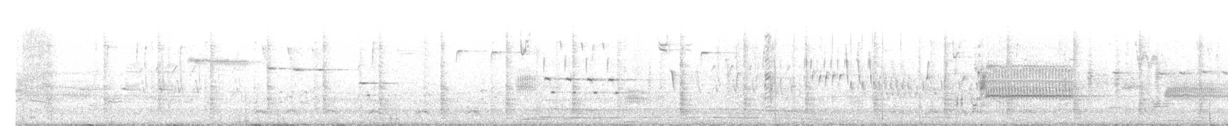 Rotflügelstärling [phoeniceus-Gruppe] - ML561648761