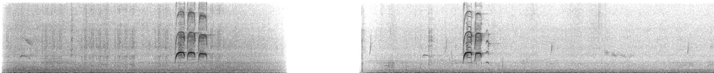 Nutting's/Salvadoran Flycatcher - ML561649371