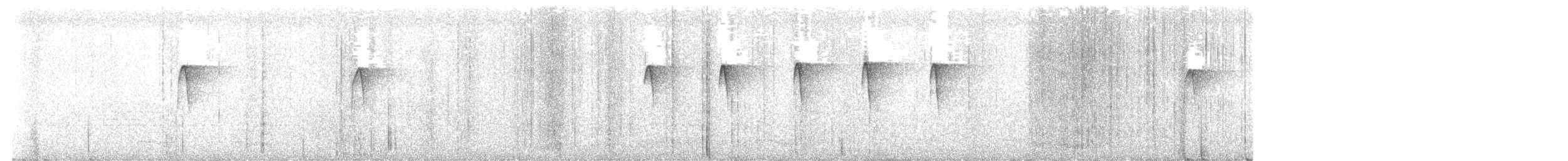 Checker-throated Stipplethroat - ML561669111