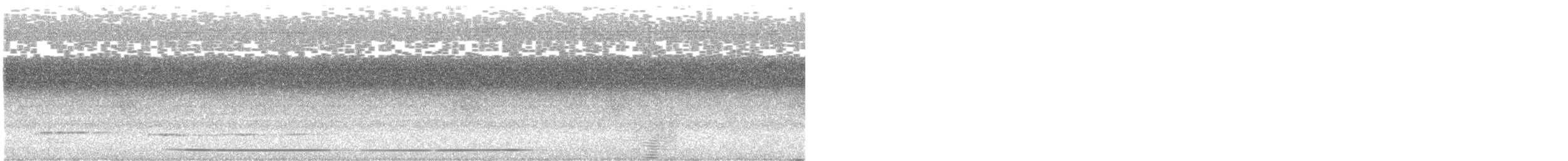 Аспидногрудый скрытохвост - ML561674311