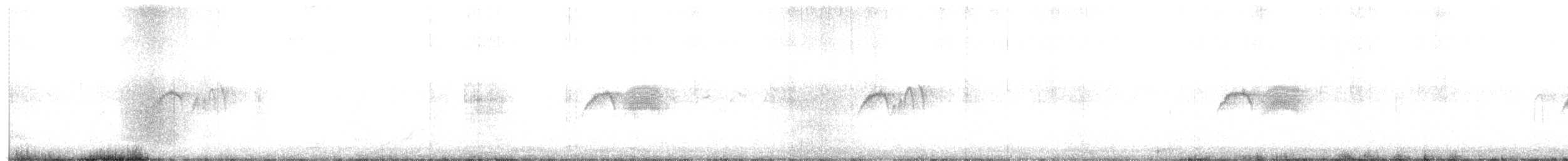 Светлобрюхий фиби - ML561726351