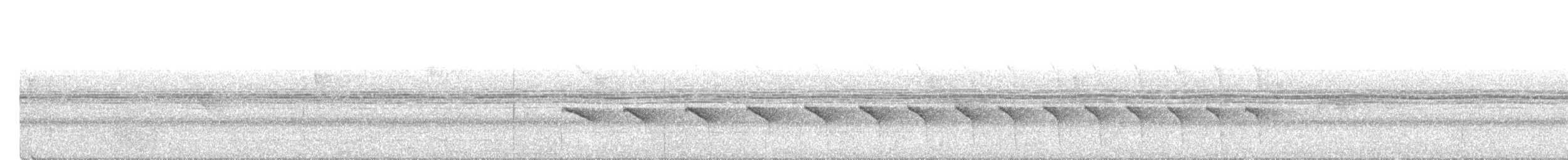 Nacktstirn-Ameisenvogel - ML561774721