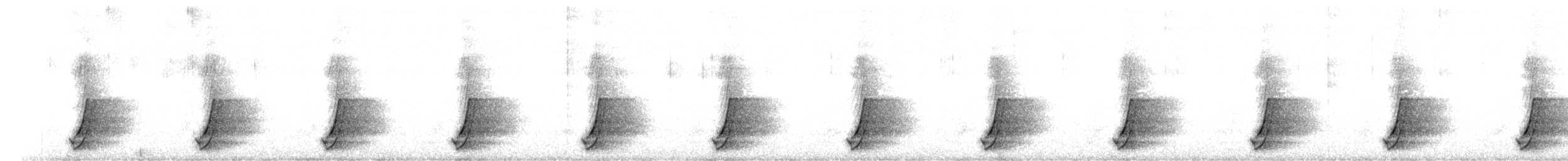 斑胸秧雞 - ML561835161