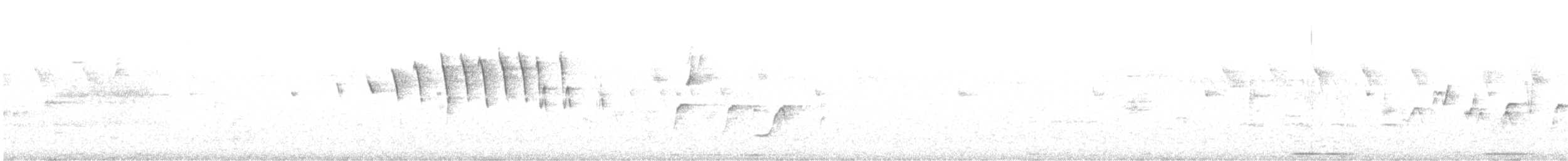 Reinita de Wilson (chryseola) - ML561838651