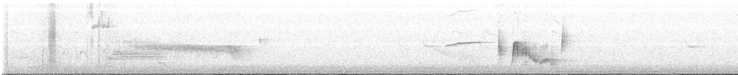 White-eyed Vireo - ML561846511