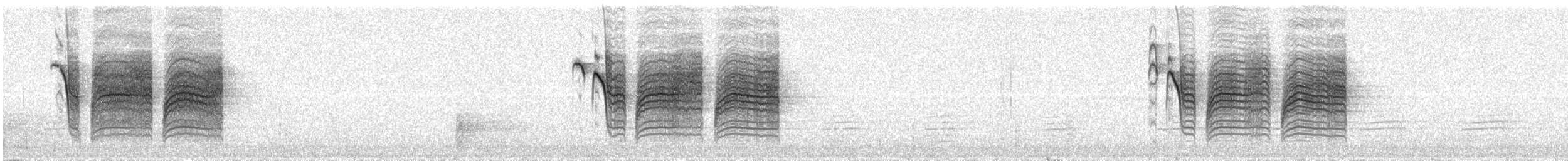 Boreal Chickadee - ML56187491