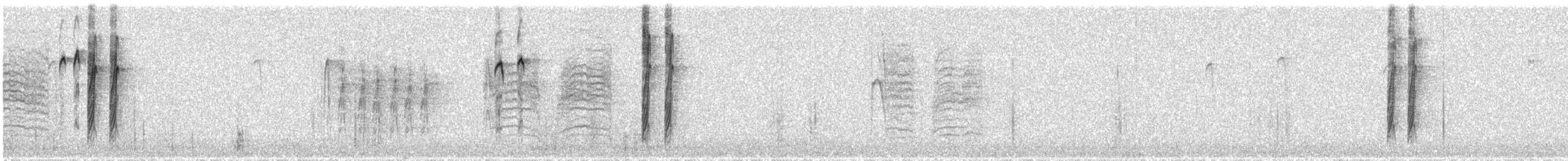 Boreal Chickadee - ML56187521