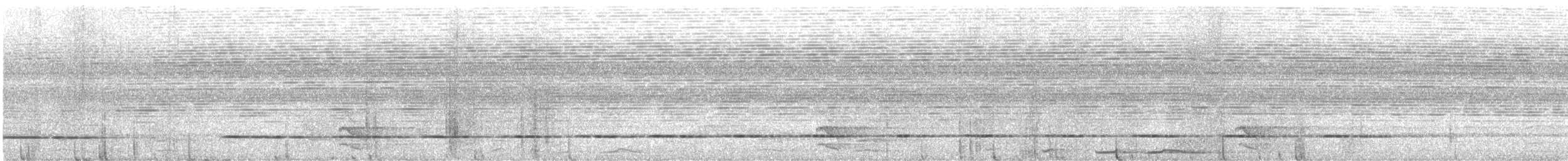 Полосатый скрытохвост - ML561910891