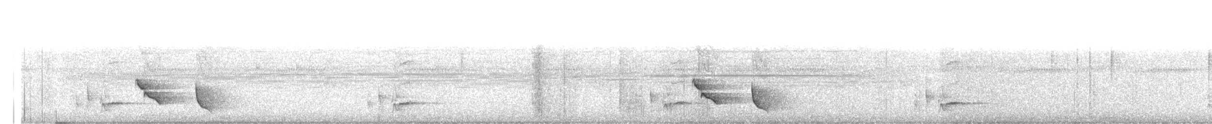 Длинноклювый крапивник - ML561911781