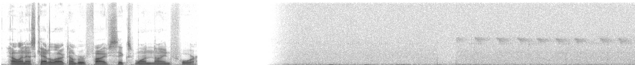 Gümüş Alınlı Tapakola (argentifrons) - ML56194