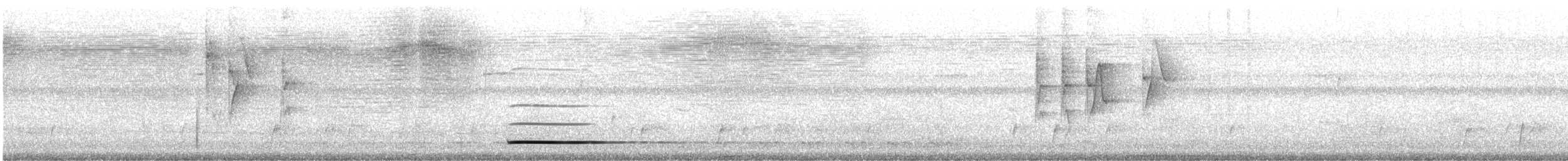 Thicket Tinamou - ML561959231