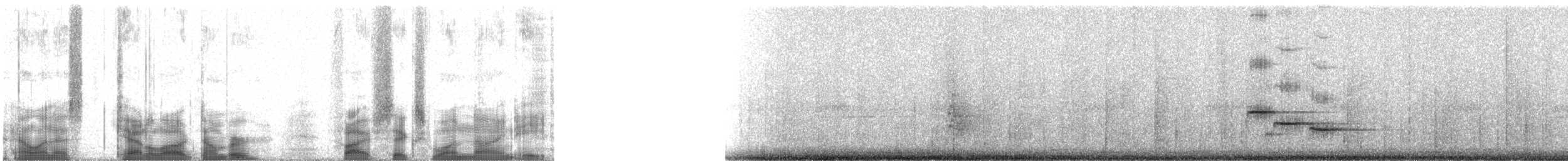 Gri Sırtlı Bülbül Ardıcı (hellmayri) - ML56198