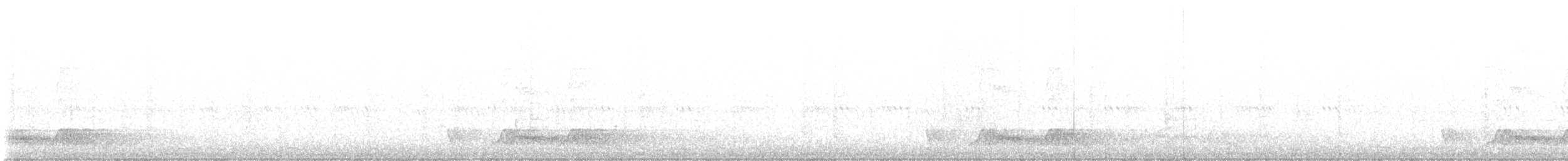 Carolinanachtschwalbe - ML561995291