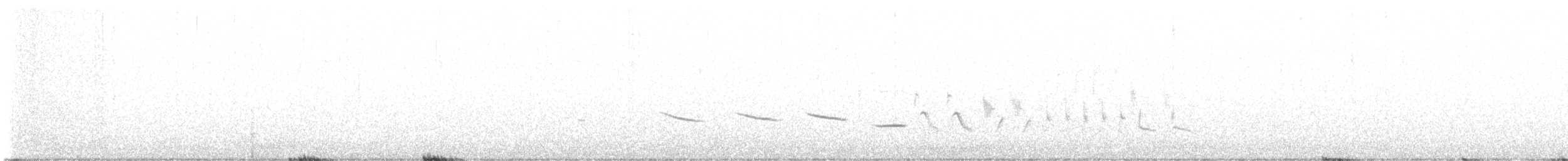 オジロヒメドリ - ML562006991