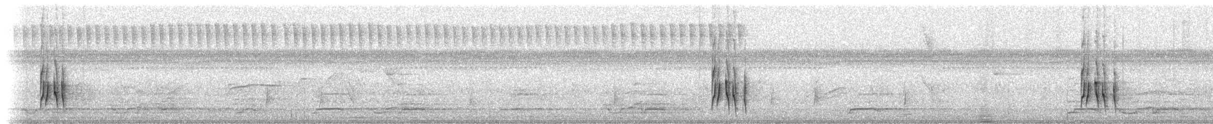 Серогрудый трескунчик - ML562040251