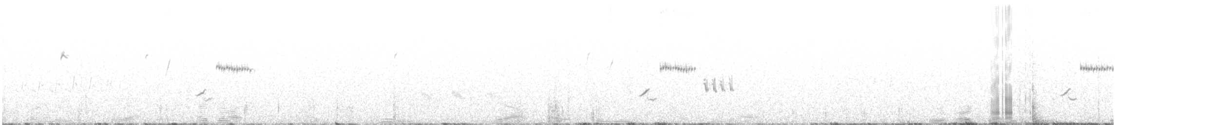 svartstrupespurv - ML562053841