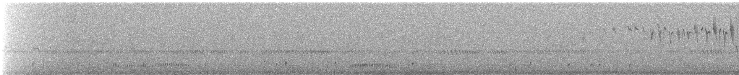 Schwarzbrust-Regenpfeifer - ML562101831