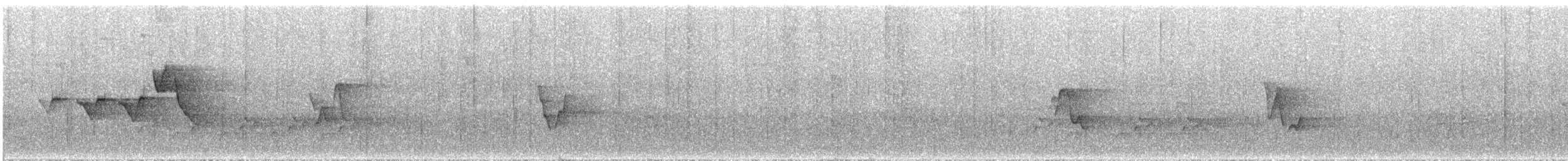 Hooded Warbler - ML562159121