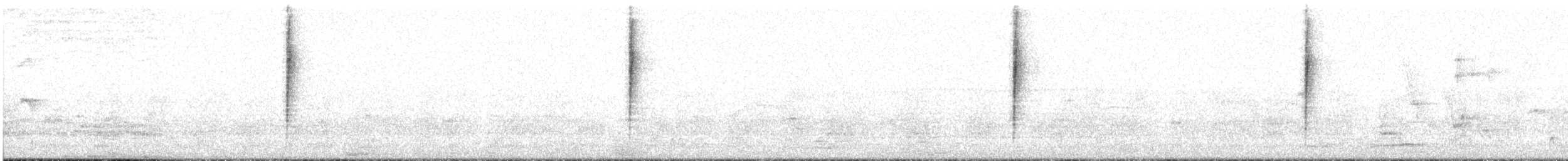 Свертушка чорноголова - ML562216571
