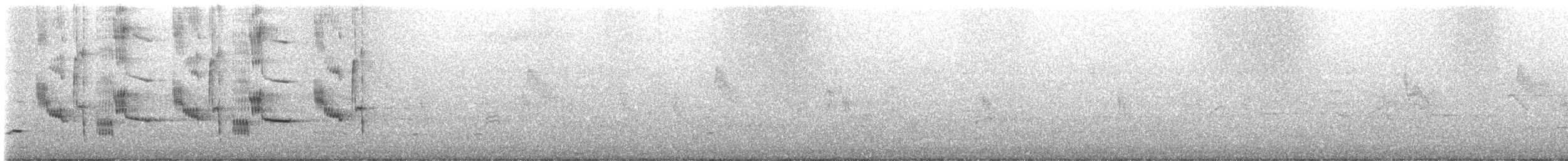 Black-collared Starling - ML562219431