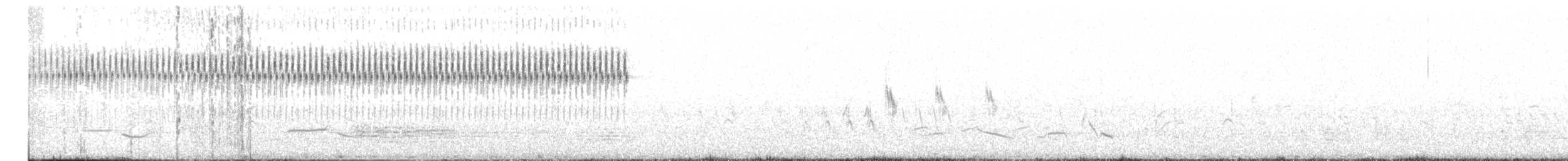 Обыкновенный сверчок - ML562221851