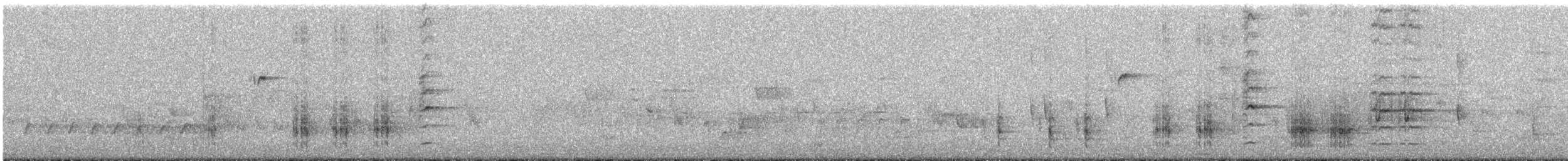 Great Reed Warbler - ML562259371